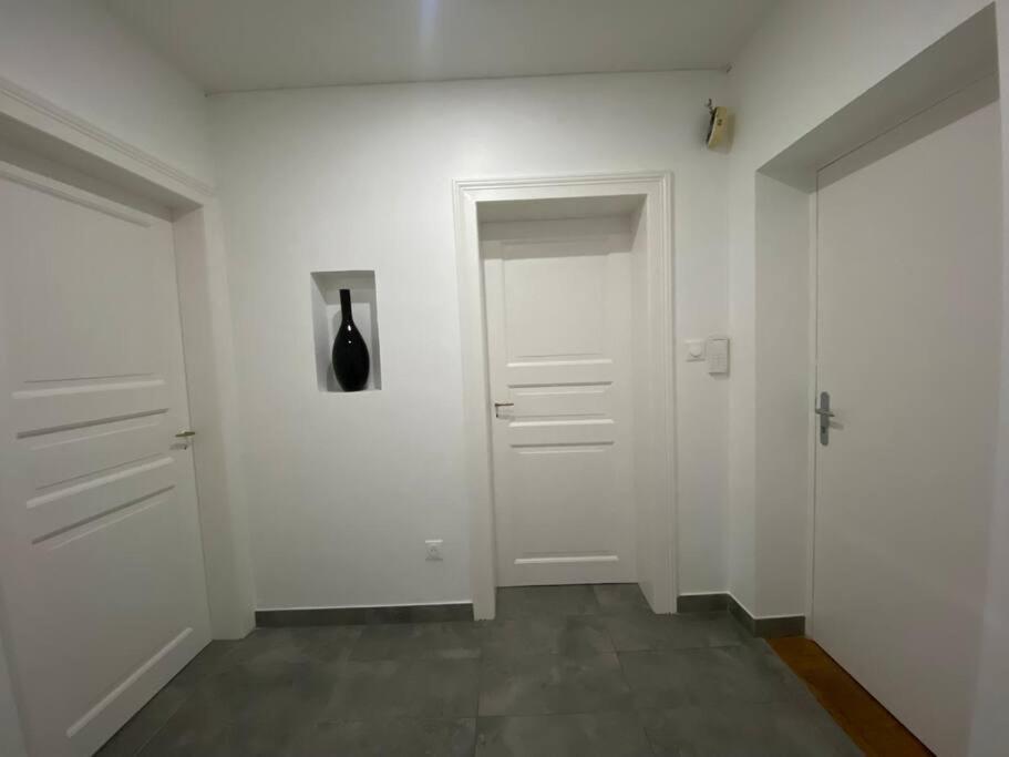 Le Confort D'Un Appartement Schiltigheim Εξωτερικό φωτογραφία
