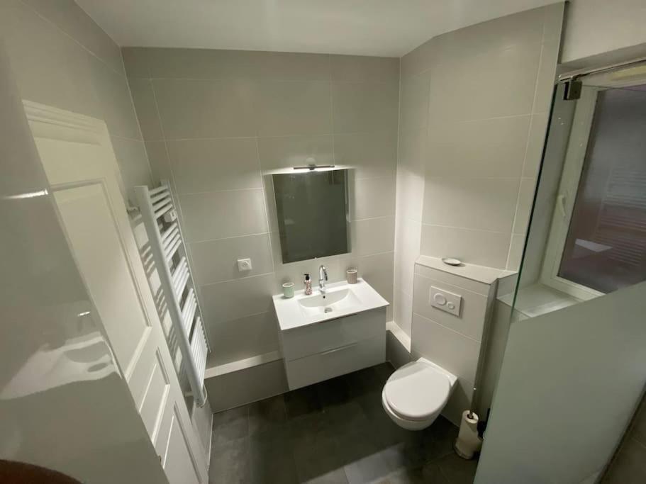 Le Confort D'Un Appartement Schiltigheim Εξωτερικό φωτογραφία
