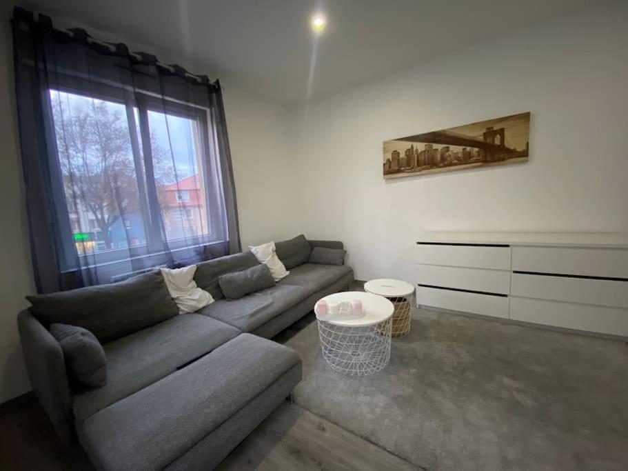 Le Confort D'Un Appartement Schiltigheim Εξωτερικό φωτογραφία
